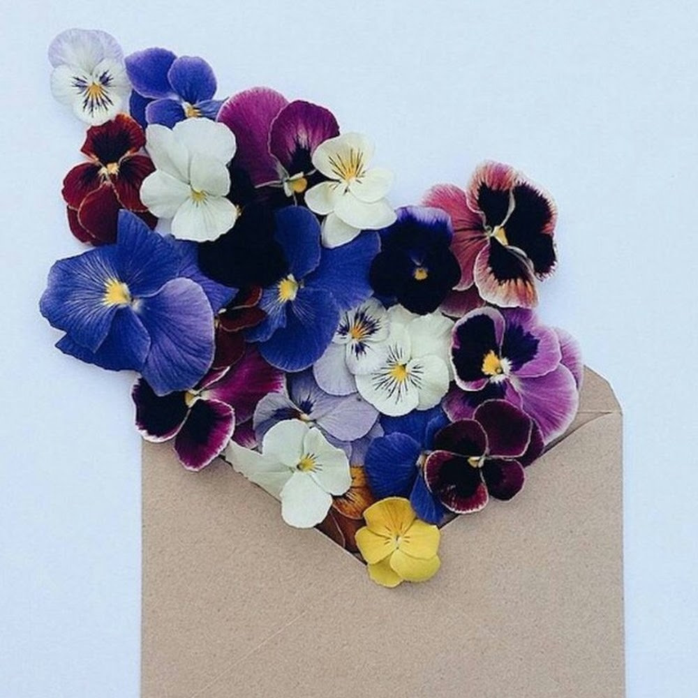 Meet your Posher, Knife safety